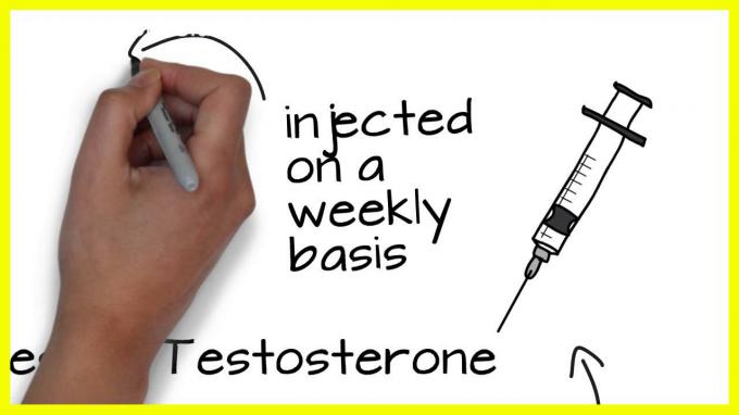 Como construir ciclos de esteroides para um Begainner?