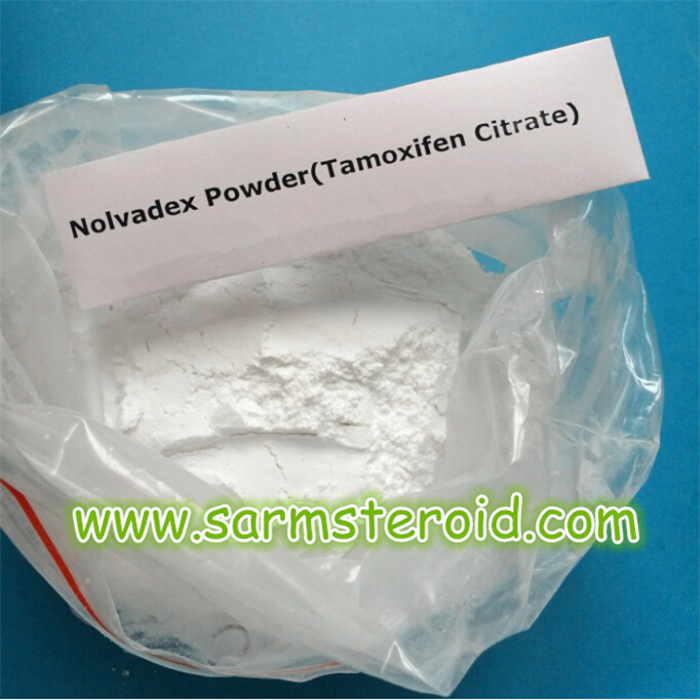 Anti Estrogen Tamoxifen Citrate/Nolvadex Powder