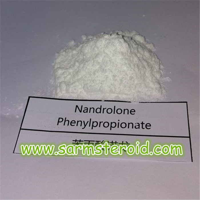 مسحوق الستيرويد الناندرولون Phenylpropionate/التقدمي
