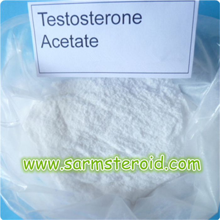 Testosteron Acetat/Test Ace Pulver