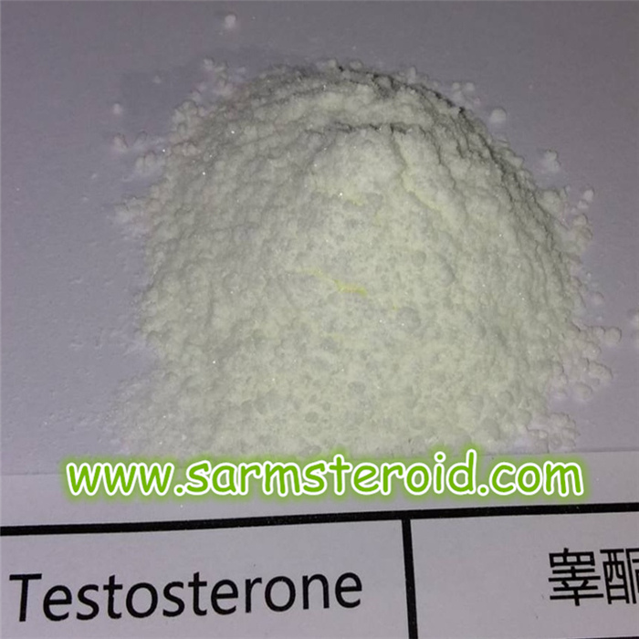 Testosteron-Basis/Test Basispulver